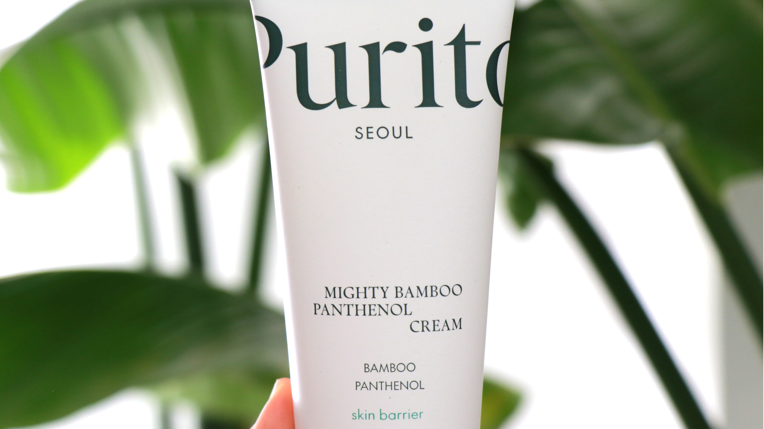 Purito Mighty Bamboo Panthenol Крем - ревю след месеци употреба Purito Mighty Bamboo Panthenol крем – хидратиращ крем за чувствителна кожа